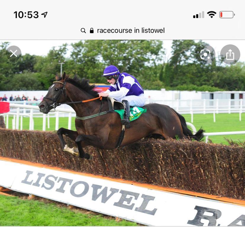 Racecourse View Ξενοδοχείο Listowel Εξωτερικό φωτογραφία